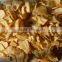 Chinese Garlic Exported Dry Garlic Flakes Natural Garlic Flakes Dehydrated Garlic Flakes Garlic Slices