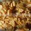 Dried Food China Garlic Exported White Garlic Flakes Price for Dehydrated Garlic Flakes Sliced Garlic