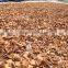 VIETNAMESE SUPPLIER OF SQUARE CUT CINNAMON / SHAVED/ UNSHAVED CASSIA
