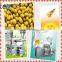 Economic peanut oil pressing machine with dafu professional skill