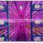 vegetable factory greenhouses