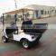 two seats electric golf cart with steel or aluminum cargo box