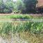 4 inches solar centrifugal pump, brushless DC solar pumps, solar submersible pump