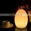 Multi-color Change Decorative LED Table Lamp for Home Hotel Bar