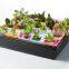 Plastic Raised Garden Bed