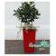 Decorative Christmas gift