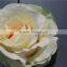 hot sale brand name decorative artificial flowers silk single rose