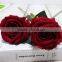 GNW FL-RS65-10CM-PU New arrival wholesale champagne rose flower for sale