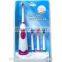 BIG SALE !!!2015 NEW FASIONABLE GOOD QUALITY AND COMPETITIVE PRICE ELECTRIC TOOTHBRUSH