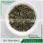 Organic EU standard chunmee green tea 9366