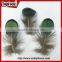 New Hot Carnival Costume Trimming Fringe Green Pheasant Feathers Prices