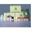 Infectious Bronchitis IgG ELISA test kit