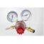 Regulator/Flow Meters