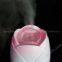 Mini Ultrasonic Humidifier