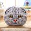 Hot selling cat pillow interesting pillow decorative professional production custom pillow manufacturer