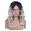 mink hair Lace Front Wig remy human hair wig lace