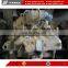 used 3TN84L 3D84E-2 complete engine excavator parts