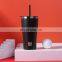 GiNT 530ml China Factory Direct Stainless Steel Insulated Water Cup Vacuum Straw Bottle Thermal Tumbler for Outdoor Camping