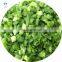 Wholesale Price High Quality IQF Frozen Fresh Scallions Leek  Spring Onion from China