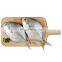 Wholesale golden pompano Frozen Golden Pompano Fish golden pomfret Trachinotus Ovatus