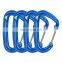 JRSGS Wholesale 4PCS Factory Lightweight Carabiner Customized Climbing Carabiner Clip Hammock Snap Hook