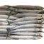 2021 new good quality fresh seafood frozen fish whole round pacific saury price for sale frozen pacific saury w/r