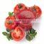 Fábrica Industrial de pequena escala - Máquina de moagem e polpa??o de tomate, equipamento de cozimento, linha de produ??o de fábrica de ketchup e pasta de tomate
