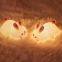 EGOGO rechargeable led soft touch bunny silicone night light for kids rabbit lamp  animal lamp light up silicone led night light
