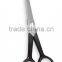 Plastic Handle Scissors