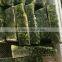 Frozen high quality vegetable Bulk Organic spinach from China