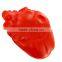 Gift PU Foam Heart with Veins Stress Ball