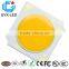 Shenzhen LED manufacturer 10w/20w/30w/50w white 100w cob led