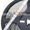RGB LED Light 5M Waterproof Epoy 3528 300 SMD LED Strip With Remote Control Fita Led WS2812B