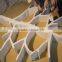 book store beautiful Shawn Soh design fiberglass tree bookshelf