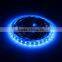 SDSLED IP33 60LED/m Blue led light strip 5050 led strip light DC12V