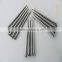 polished common nails (factory)