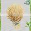 Wholesale Shish Kabob Bamboo Skewers
