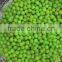 Halal Approval Canned Green Peas
