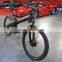 Seagull,cheap electric bike 800w