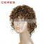 Ceres Hair Heat Resistant Short Afro Kinky Curly Wig for Black Women