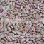 Agricultural Products-Chinese New Crop Light Speckled Kidney Beans With Good Quality                        
                                                Quality Choice