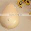 Mastectomy Prosthesis Super Light One Piece Silicone Actives Light Breast 160g/piece