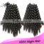 Wholesale 100% Human Hair Extensions Virgin Brazilian Hair Free Sample