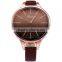 Fashion Classic Brown Leather Band Ladies Women's Quartz Watch
