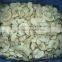 IQF champignon mushroom slice