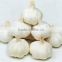 Jinxiang Pure White Garlic pack in Small Package