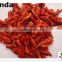 2015 China best quality dried chilli grinder, 40-80 mesh Chili king chilli powder grinder free sample