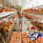 galvanized top grade new arrival chicken cages
