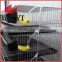 Trapezoidal And Vertical Type Quail Cages For Sale