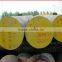 Top Quality Hot Sale DIN 1.2080 Steel Round Bar From China Cr12 JIS SKD1 AISI D3